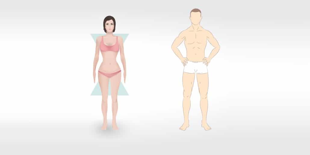 body shapes types