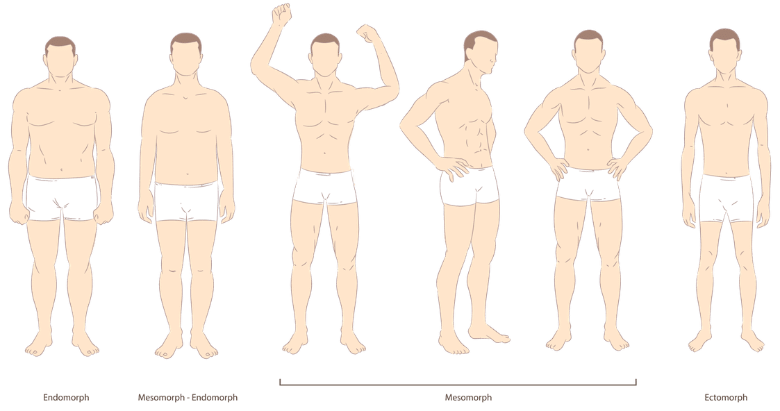 body shapes and types