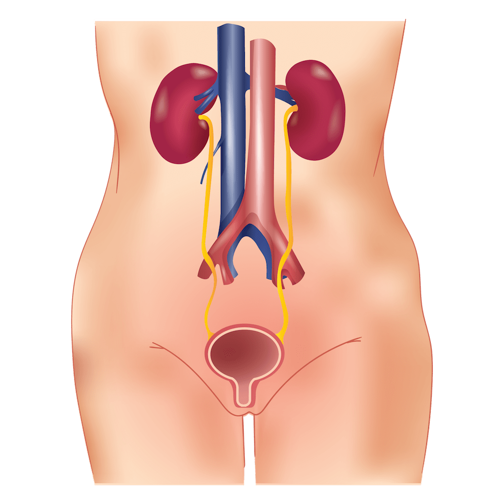 uti causes